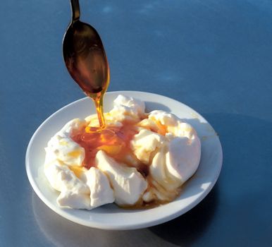 Farm yoghurt with honey on the blue background