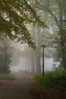 Wonderful part of a park on a misty morning during fall.