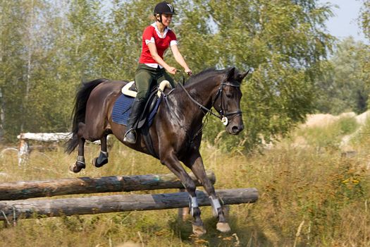 Girl on horse jumping over hurdle