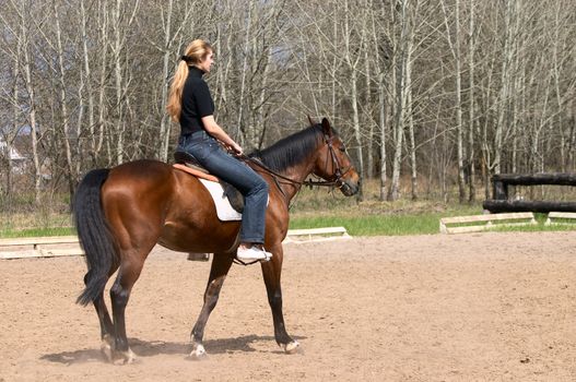Girl riding on brown horse