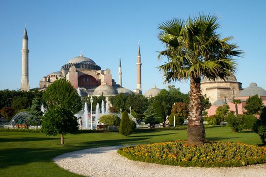 park with palm near of Holy Wisdom mosque in Istanbul