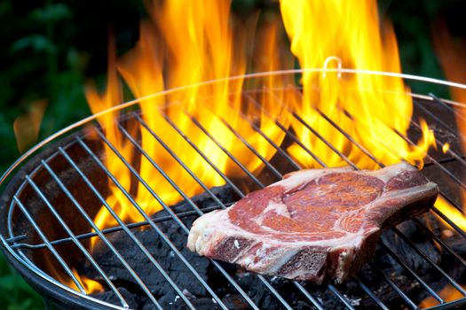 t bone steak on a grill outdoors