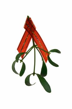 Macro of mistletoe twig with a red ribbon, isolated on white background.