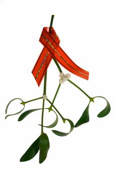 close-up of a bunch of mistletoe (viscum album) with berries, hanging from a red ribbon and isolated on a white background.