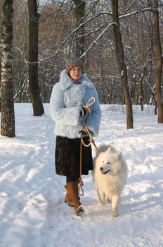 Girl strolling with samoyed dog in winter park