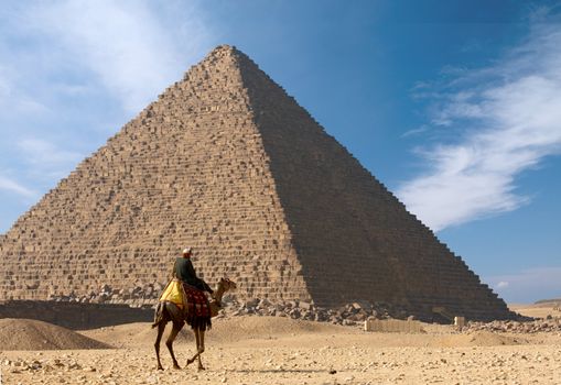 Bedouin on camel near of pyramid in Egypt