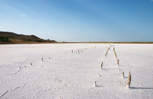 alkali soil and old wood columns