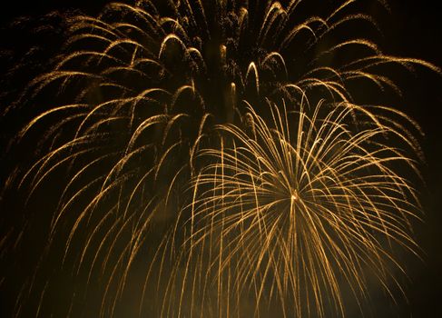 Orange fireworks in black sky