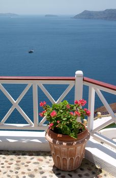 flowerpot on balcony over the sea