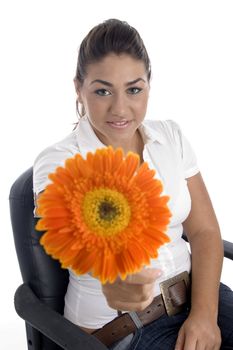 lovely girl showing orange gerbera flower with white background
