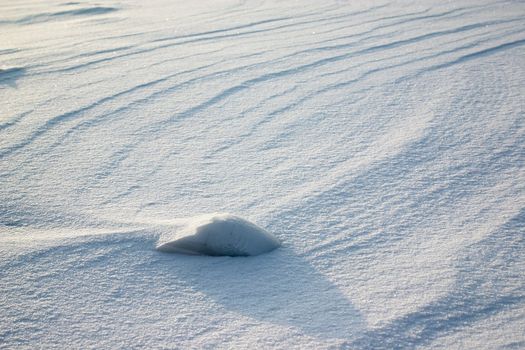 Wind weathering on the snow field