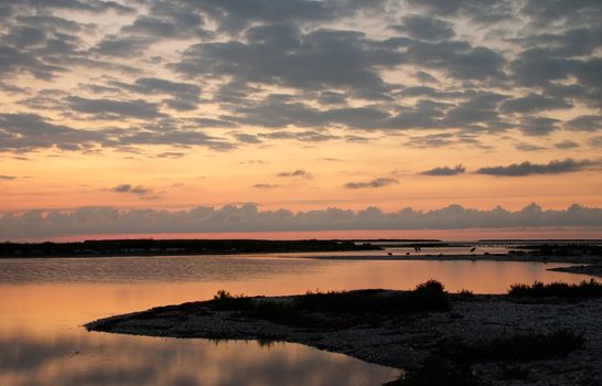 Dawn at the sandbank, wild landscape