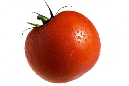 red tomato vegetable in water drops isolated on white