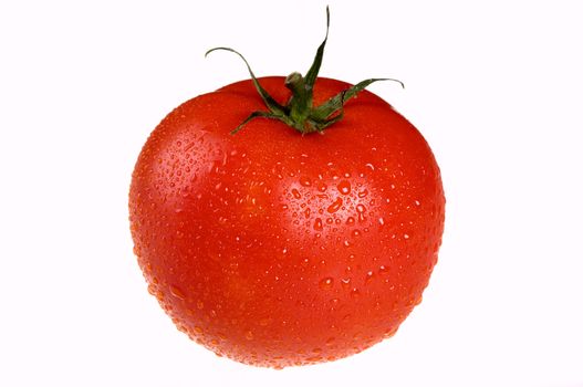 red tomato in water drops isolated on white