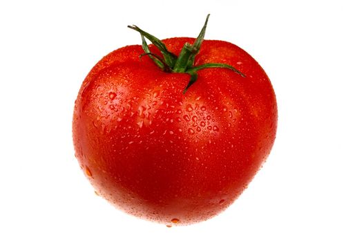 red tomato in drops isolated on white