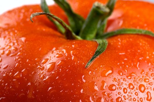 macro photo of tomato with scape isolated on white