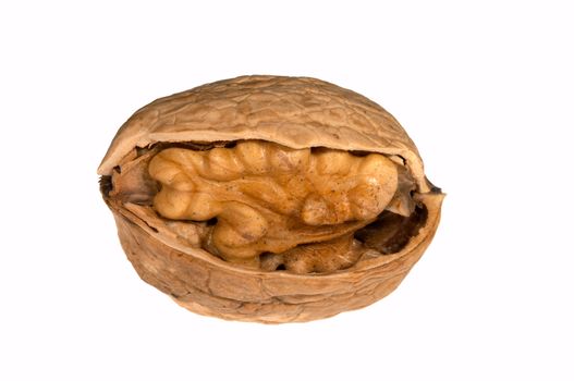 Walnut with cracked shell and kernel inside