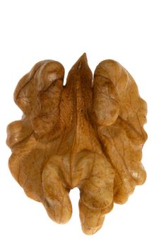 A kernel of walnut isolated on the white background
