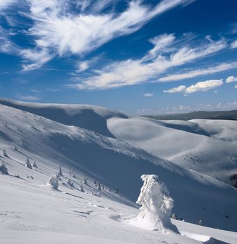 dramatic winter landscape with snow covered trees