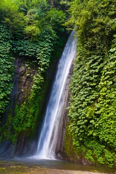 Waterfall in the middle of jungle with green surrounding