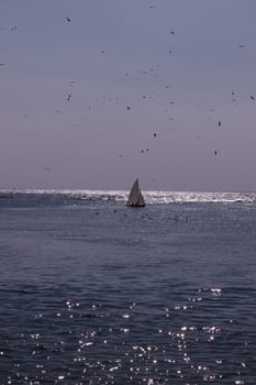 a yacht sailing in youghal bay ireland