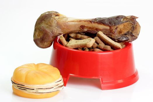 Red bowl with dog food and dog toy  on bright background
