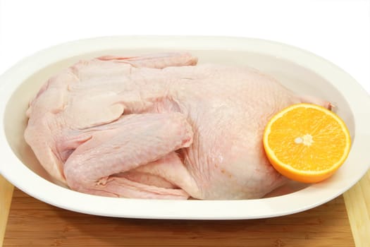 Fresh raw duck on bright background