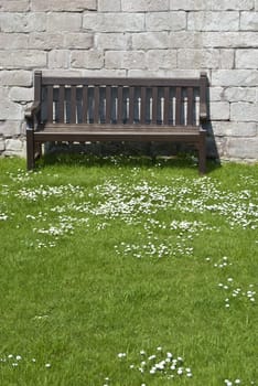 bench standing on lawn with lots of daisies