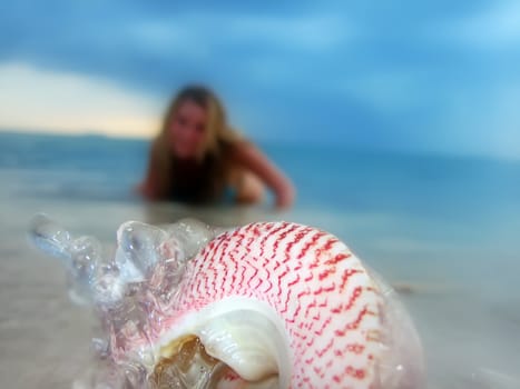 Shell on the sandy beach overhelmed by waves
