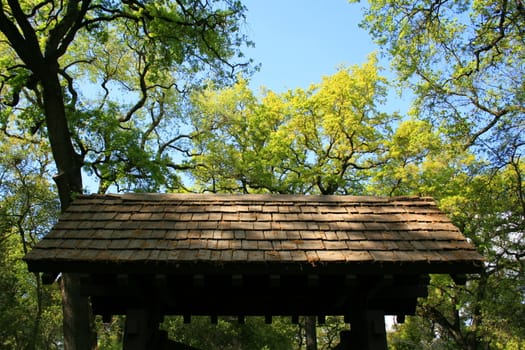 Close up of an entrance to a garden.
