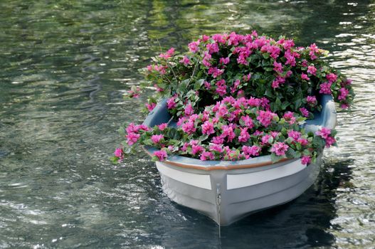 A boat full of pink flowers.