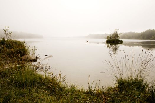 A quiet mysterious lake with fog