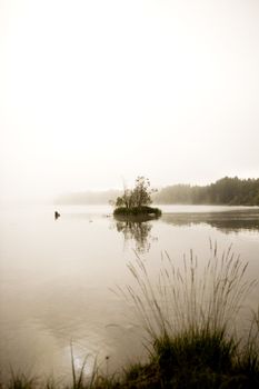 A peaceful lake with calm fog