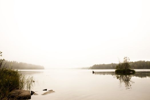 A quiet calm lake with fog