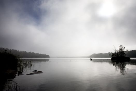 A peaceful lake with calm fog