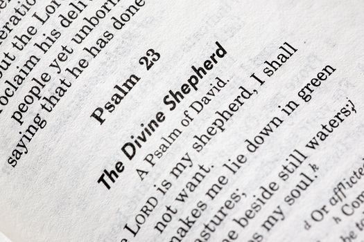A macro detail of Psalms 23 in the Christian Bible