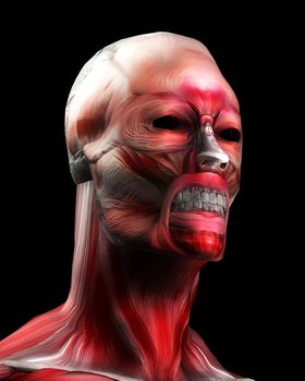 A face made out of muscle for medical or horror concepts.