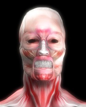 A face made out of muscle for medical or horror concepts.
