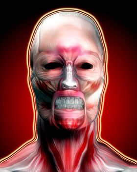 A face made out of muscle for medical or horror concepts.