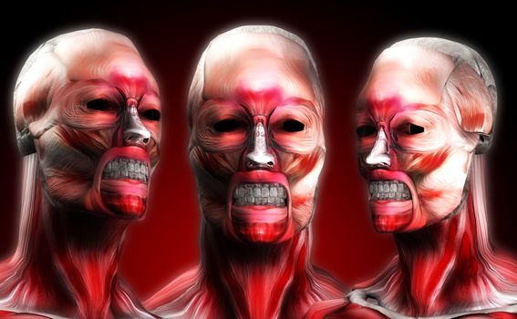 A set of faces made out of muscle for medical or horror concepts.