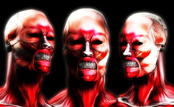 A set of faces made out of muscle for medical or horror concepts.