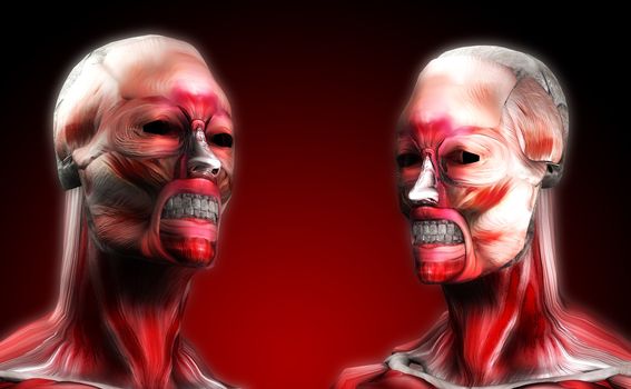 A set of faces made out of muscle for medical or horror concepts.