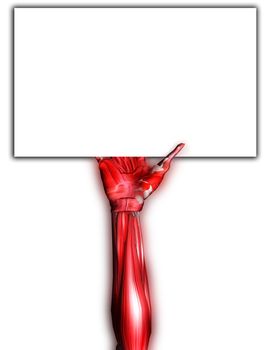 A skinless arm for medical or Halloween concepts. Holding a blank customisable sign.