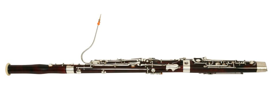 bassoon