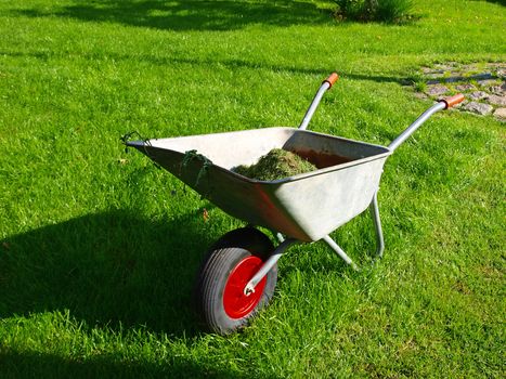 Gardening season - green lawn with wheelbarrow 