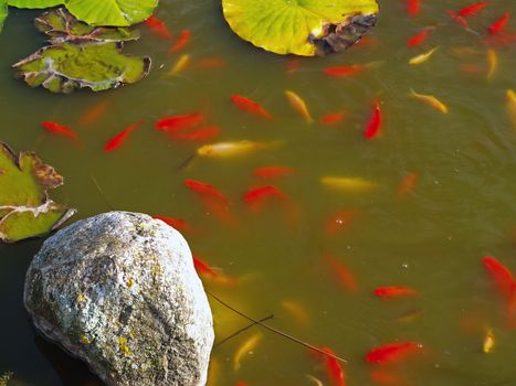Beautiful decorative home garden fish pond   
