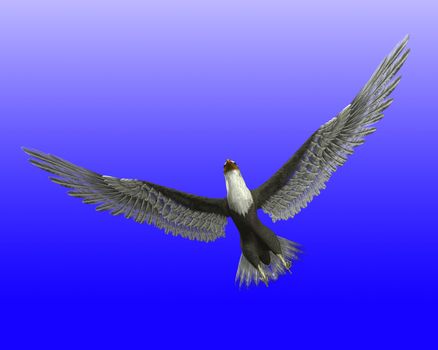 
An eagle flying with its wings outstretched.