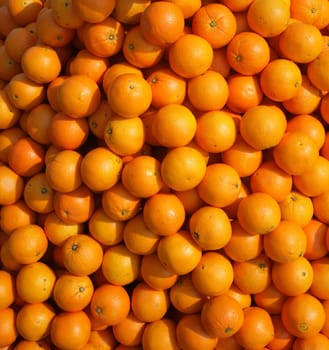a lot of juicy, ripe oranges closeup