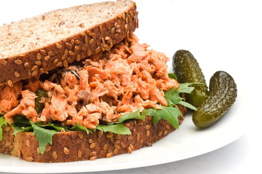 Salmon salad sandwich on whole grain bread.