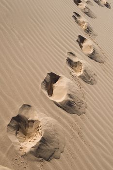 Image of footprints across sand dunes